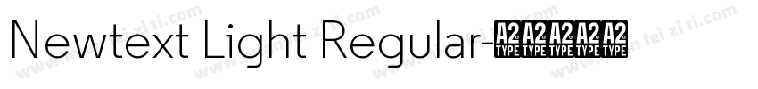 Newtext Light Regular字体转换